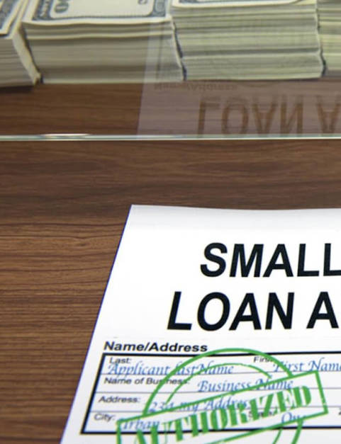 Business Loan Apply, Small Business Loan Guide Screenshot2