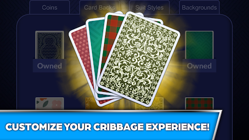 Cribbage - Offline Screenshot1