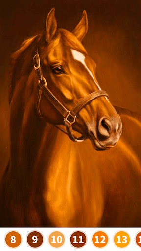 Horse Color by Number Screenshot2