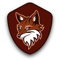 فیلتر شکن قوی -FOXY VPN APK