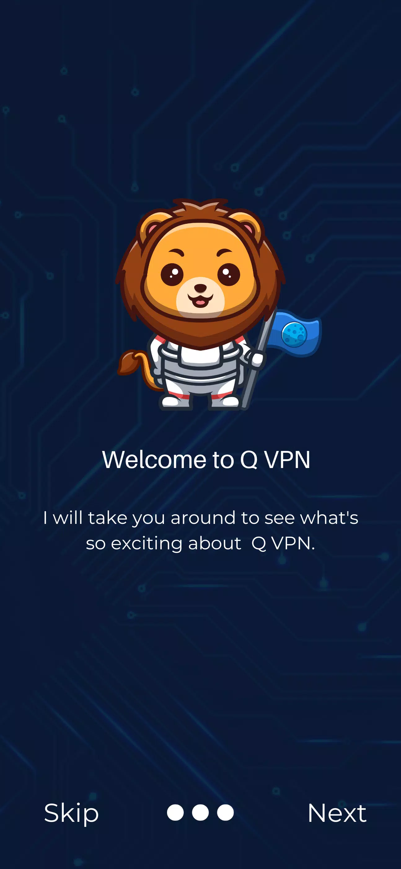 Q-VPN Screenshot3