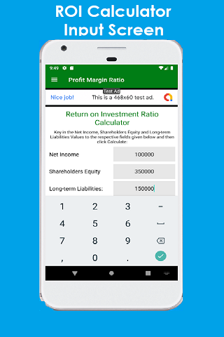 Financial Ratio Calculator Screenshot4