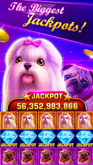 Slots:Irish luck slot machines Screenshot4