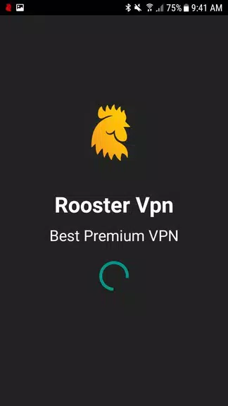 فیلتر شکن قوی و پرسرعت Rooster VPN فیلترشکن Screenshot1