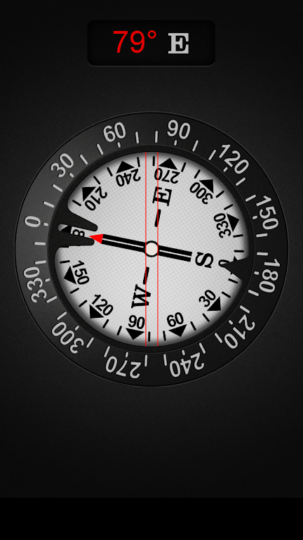 Compass Pro Mod Screenshot2