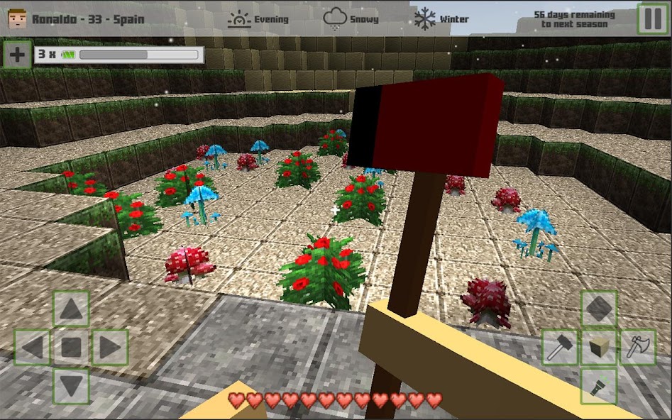 Cubes Craft 2 Mod Screenshot1