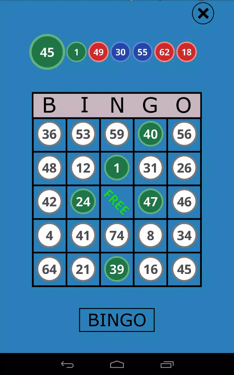 Classic Bingo Touch Screenshot4