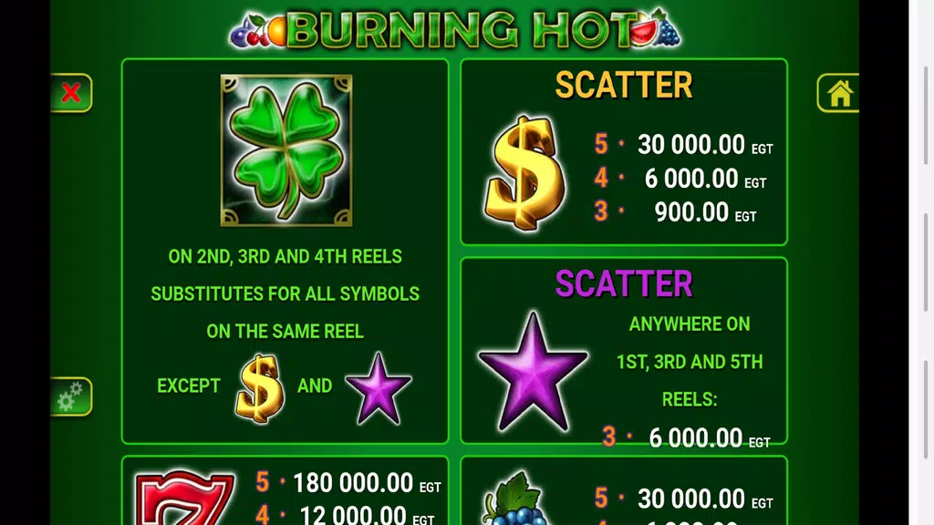 5 Burning Hot Slot Screenshot4