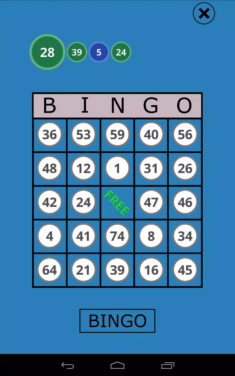 Classic Bingo Touch Screenshot3