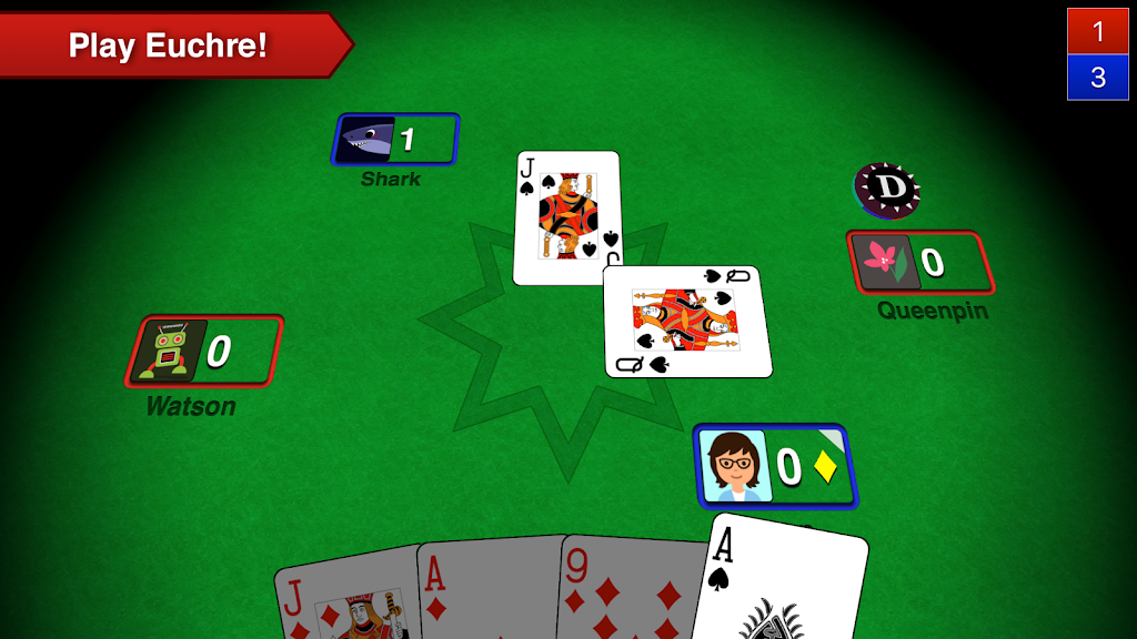 Euchre 3D Screenshot1