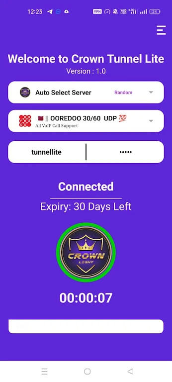 CROWN VPN Screenshot3