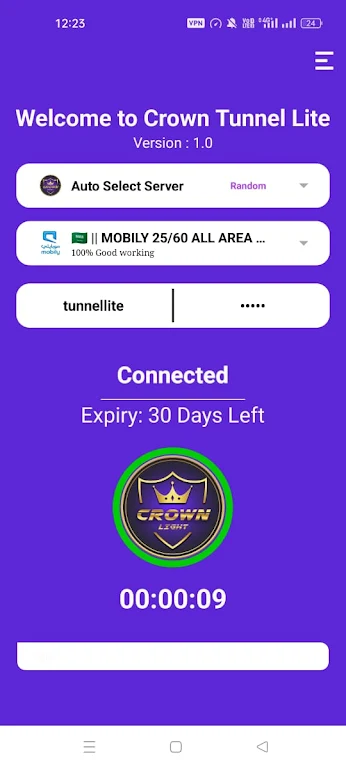 CROWN VPN Screenshot1