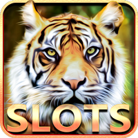 Slot Machine : Wild Cats APK