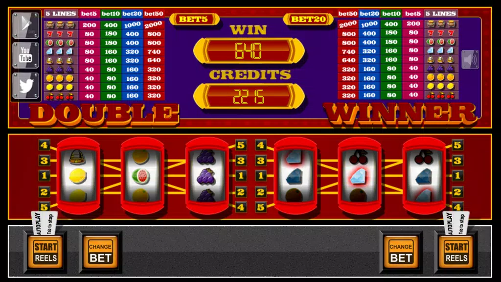 slots - Double Winner Screenshot1