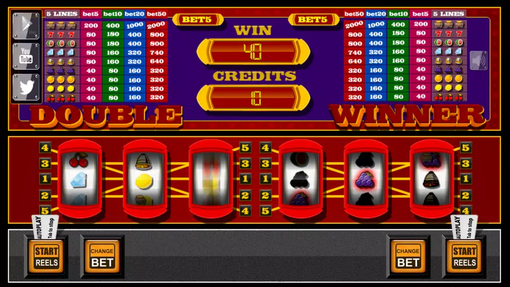 slots - Double Winner Screenshot2