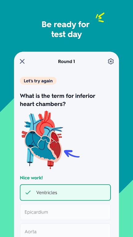 Quizlet: AI-powered Flashcards Mod Screenshot3