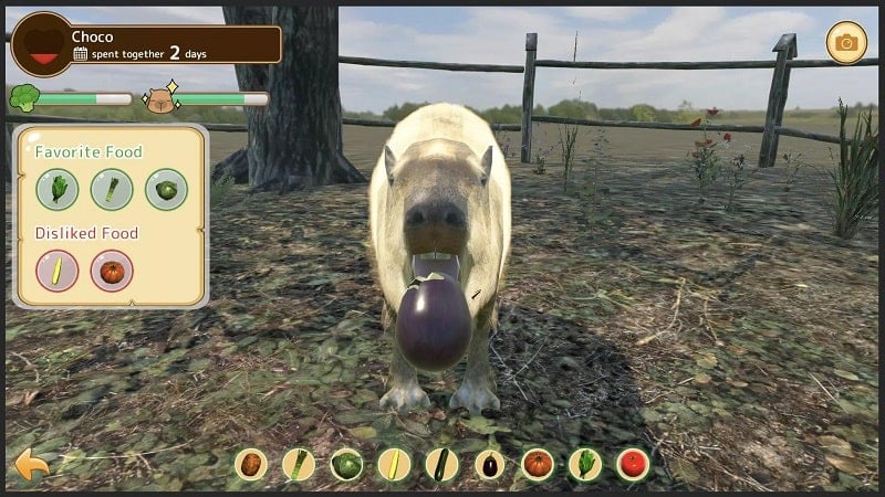 Capybara Zoo Screenshot2