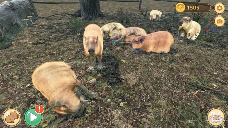 Capybara Zoo Screenshot4