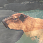 Capybara Zoo APK