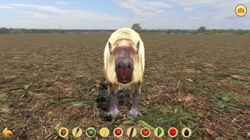 Capybara Zoo Screenshot1