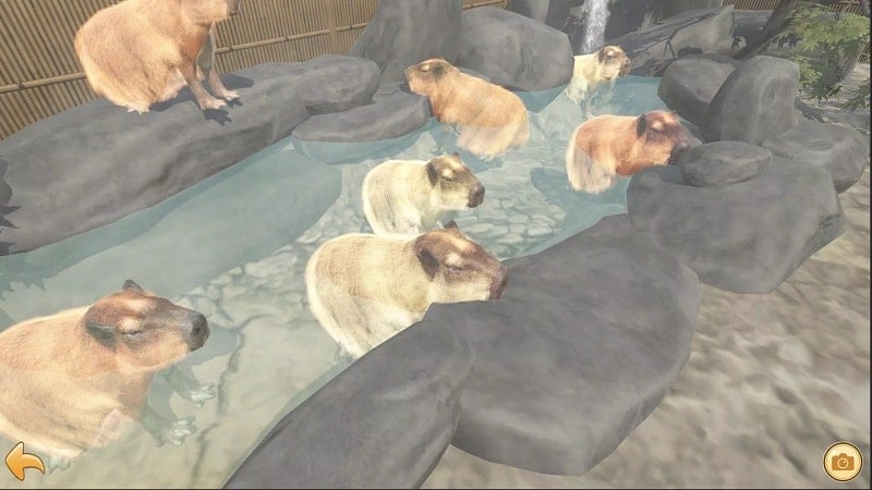 Capybara Zoo Screenshot3