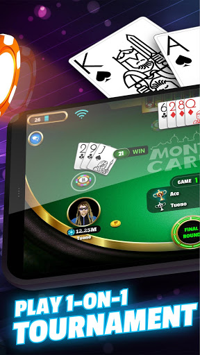 BlackJack 21 Pro Screenshot3