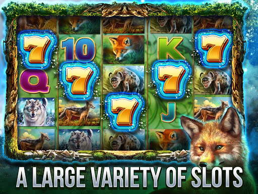 Cats Slot Machines Screenshot4