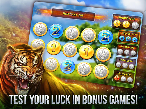 Cats Slot Machines Screenshot3