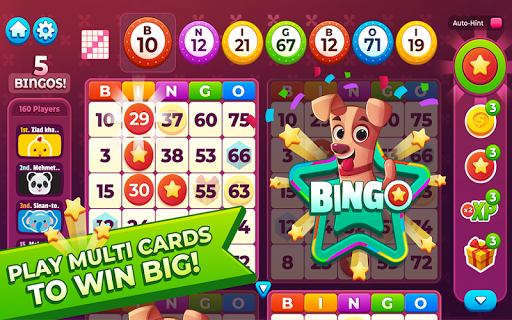 Bingo My Home Screenshot3