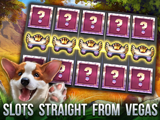 Cats Slot Machines Screenshot2