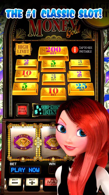 Classic Slots - Big Money Slot Screenshot3