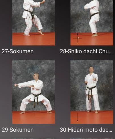 KARATE SHITO-RYU 8 Screenshot1