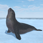 Seal Island APK