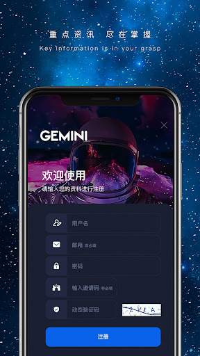 GeminiVPN Screenshot3