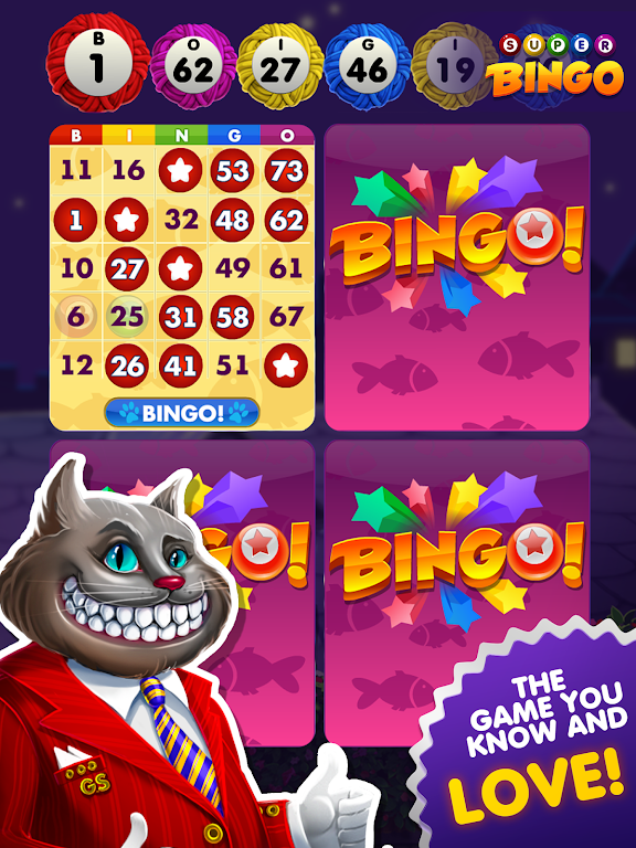 Super Bingo HD Screenshot1