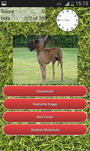 Dog Breeds Quiz Screenshot4