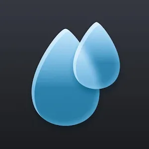 RainViewer APK