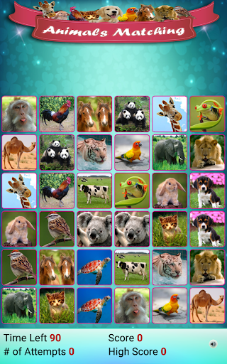 Matching Madness - Animals Screenshot2