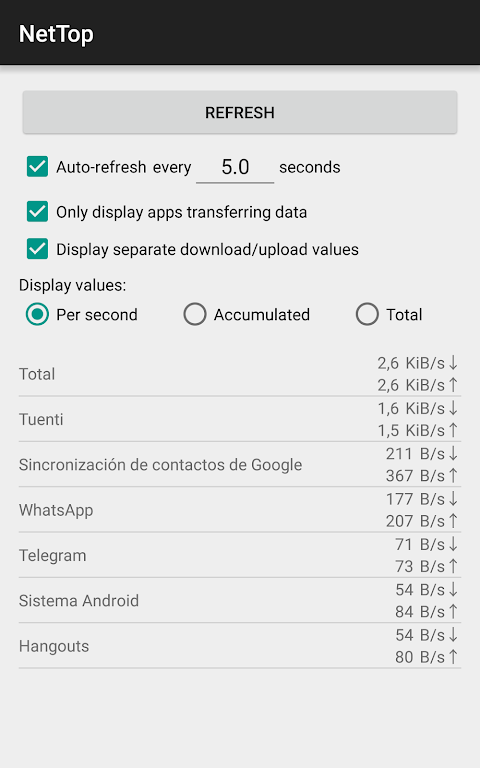 NetTop: RealTime Network Meter Screenshot2