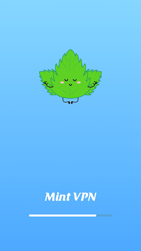 Mint VPN Screenshot4