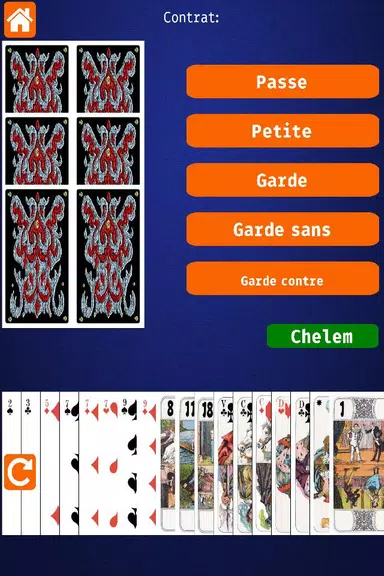 Net.Tarot Screenshot2