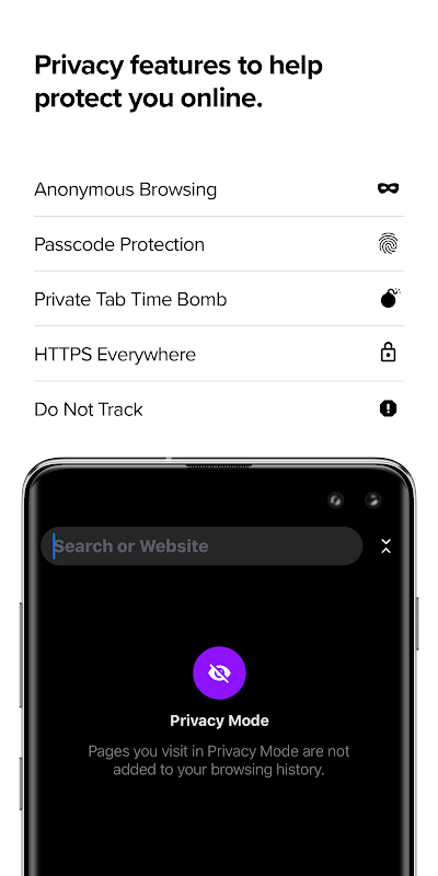 Cake Web Browser-Free VPN, Fast, Private, Adblock Screenshot2