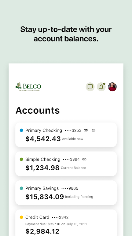 Belco CU Money Manager Screenshot3