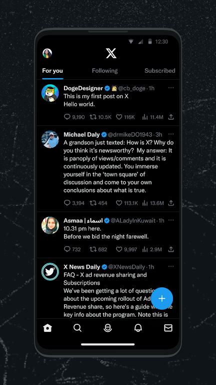 Twitter (X) Screenshot1