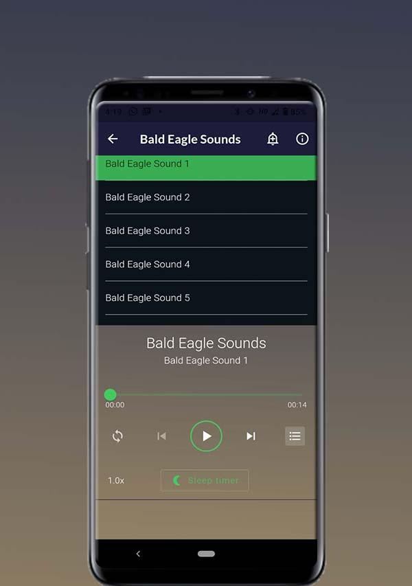 Bald Eagle Sounds Screenshot1