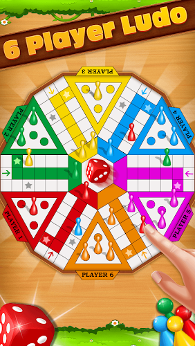 Ludo Play The Dice Game Screenshot3