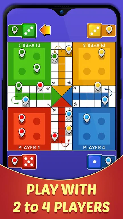 Desi Ludo Screenshot3