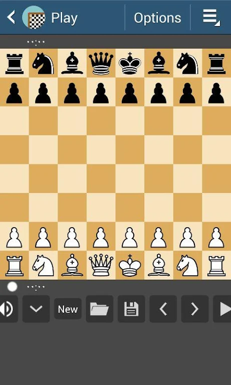 Chess Master ✔️ Screenshot1