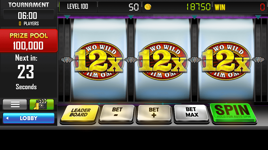 Wild 100x - Slot Machines Screenshot3