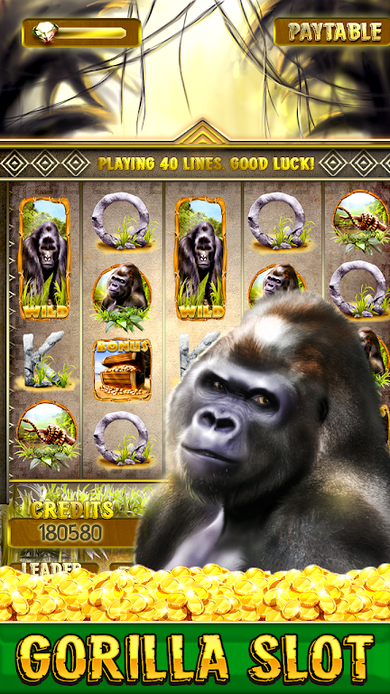 Wild Gorilla Free Slots Screenshot1